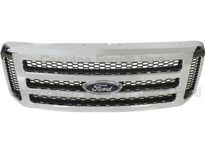 2005 Ford F-250 Super Duty Grille - 6C3Z-8200-BC