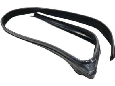 Ford Taurus Window Run - 8G1Z-5421597-A