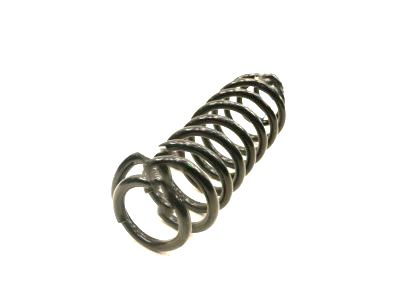 Ford BR3Z-5560-C Spring - Rear