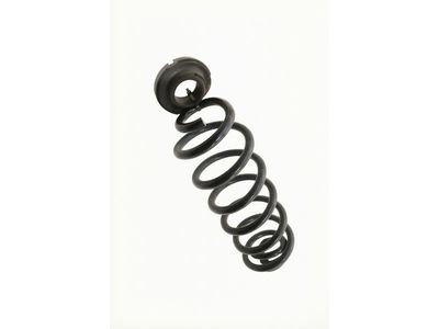 Lincoln Corsair Coil Springs - LX6Z-5560-EN