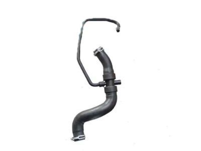 Lincoln Zephyr Radiator Hose - 6E5Z-8260-BA