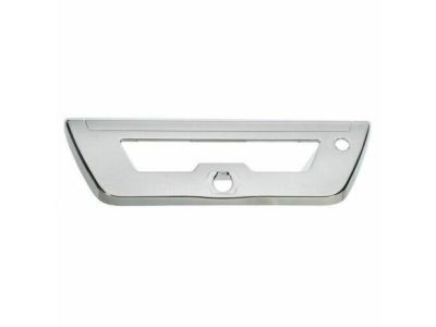2015 Ford F-150 Door Handle - VFL3Z-1522404-E