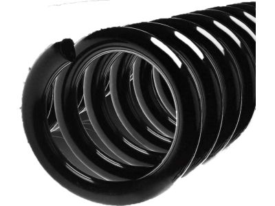 2016 Ford F-150 Coil Springs - FL3Z-5310-C