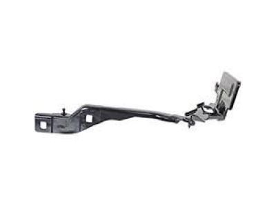 2019 Ford F-150 Hood Hinge - FL3Z-16796-B