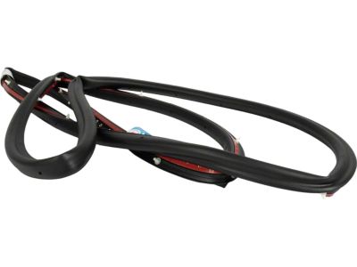 2017 Ford Focus Door Seal - BM5Z-58253A10-B