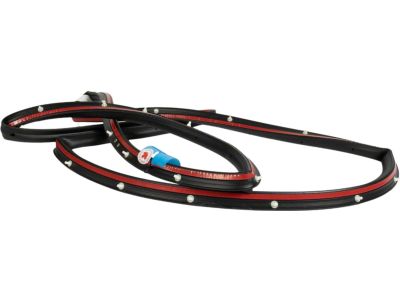 2017 Ford Focus Door Seal - BM5Z-58253A10-B