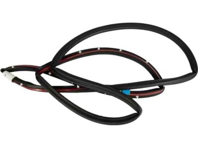 2017 Ford Focus Door Seal - BM5Z-58253A10-B