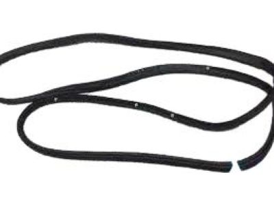 2017 Ford Focus Door Seal - BM5Z-58253A10-B