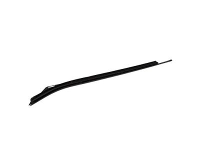 Ford FL3Z-1625596-A Weatherstrip - Door Glass Channel