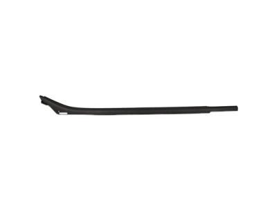 Ford FL3Z-1625596-A Weatherstrip - Door Glass Channel