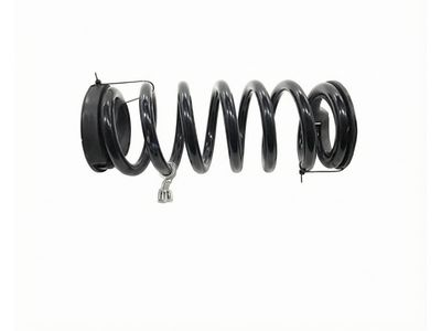 Lincoln Coil Springs - K2GZ-5560-N
