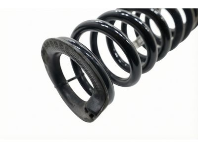 Lincoln Coil Springs - K2GZ-5560-N