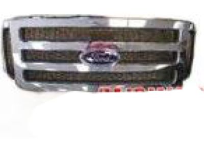 2006 Ford F-350 Super Duty Grille - 6C3Z-8200-BDCP