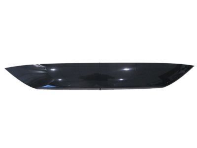 2019 Ford EcoSport Air Deflector - JN1Z-16C900-A