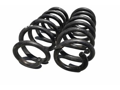 2020 Ford Escape Coil Springs - LX6Z-5560-EE