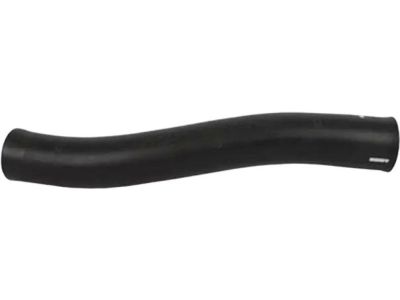 Ford G1FZ-9047-A Filler Pipe Hose G1FZ-9047-A Ford Filler Pipe Hose Product Photo 1 of 2
