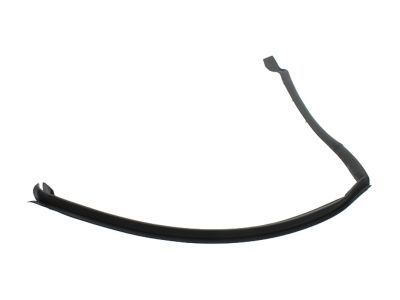 Ford FT4Z-5828125-A Weatherstrip