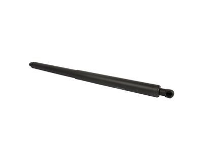 Ford Lift Support - FT4Z-58406A10-B