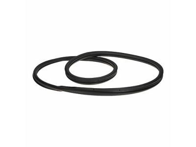 Ford Door Seal - BL8Z-7842084-B