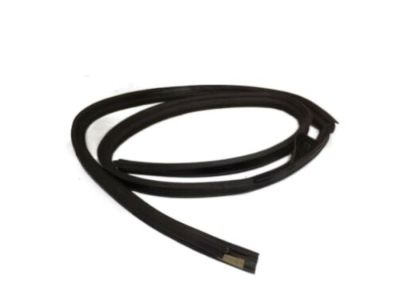 2000 Ford Focus Weather Strip - YS4Z-7451823-AA