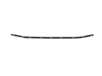 G1EZ-17K946-A Ford Bumper Grille Product Photo 2 of 2
