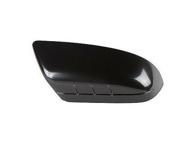 2014 Lincoln MKX Mirror Cover - CT4Z-17D742-BPTM