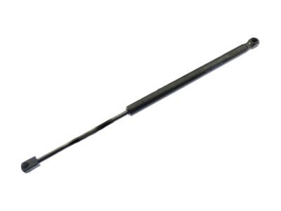 Ford 9L3Z-16624B75-A Strut