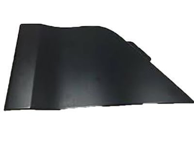 Ford Transit Fuel Door - CK4Z-61405A26-A