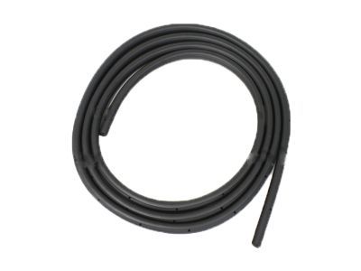 2010 Ford F-250 Super Duty Door Seal - 3C3Z-2820709-BA