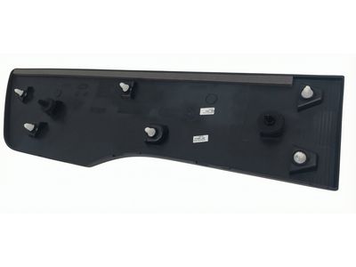 2022 Ford Transit Connect Door Moldings - DT1Z-6129077-CD