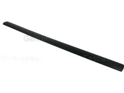 2011 Ford Transit Connect Door Moldings - 3T1Z-6120878-AA