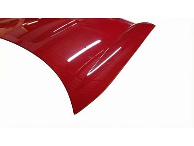 Ford Thunderbird Hood - 1W6Z-16612-AA