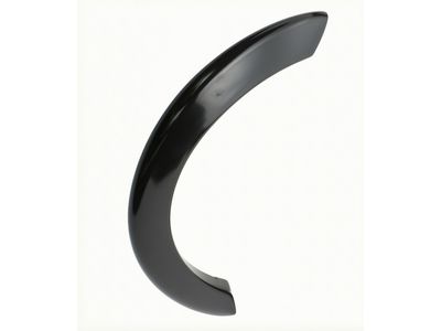 BC3Z-16038-APTM Ford Moulding Product Photo 2 of 4