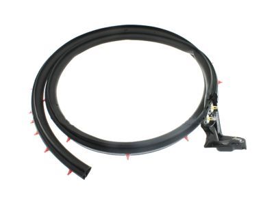 2013 Ford Mustang Weather Strip - BR3Z-6320531-A