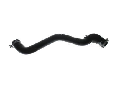 Ford 4M5Z-8B365-AA Clip - Hose