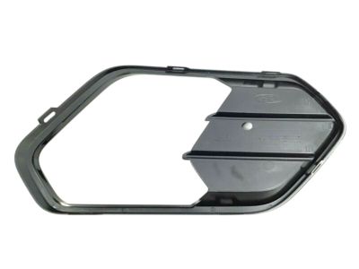 Ford GJ5Z-17E811-BA Grille - Bumper