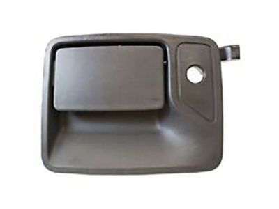 2007 Ford F-150 Door Handle - 6L3Z-1522405-DJ