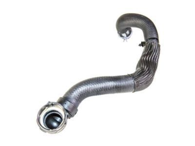 2015 Ford Escape Radiator Hose - CV6Z-8260-L