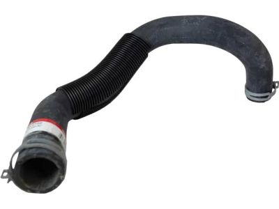 Ford Ranger Radiator Hose - 2L5Z-8260-AC