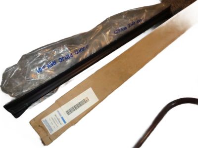 2W1Z-5420568-AA Ford Weatherstrip - Door Trim Product Photo 3 of 4
