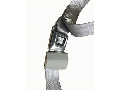 Mercury Grand Marquis Seat Belt - YW7Z-5460045-AAB