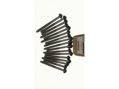 2016 Ford F-250 Super Duty Cylinder Head Bolts - BC3Z-6065-B