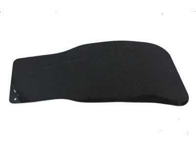 Ford F-250 Wheelhouse - E9TZ-9928370-B