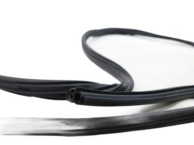 2016 Ford Transit Weather Strip - EK4Z-61253A10-E