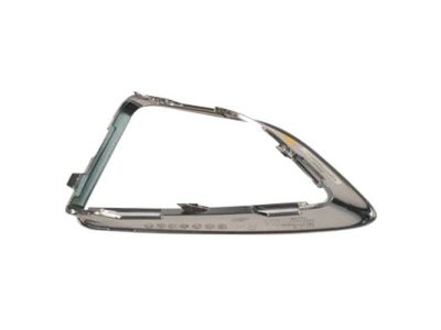 Ford BE5Z-17E810-KA Grille - Bumper