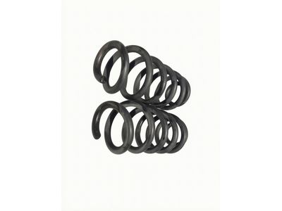 2020 Ford Escape Coil Springs - LX6Z-5560-EE
