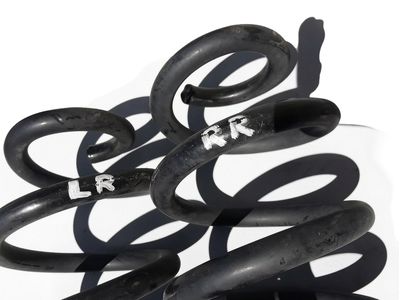 2020 Ford Escape Coil Springs - LX6Z-5560-EE