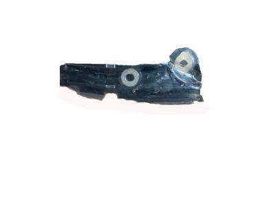 Ford Transit Timing Chain Guide - BL3Z-6K297-A