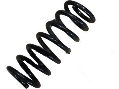 Ford DG9Z-5560-S Spring - Rear