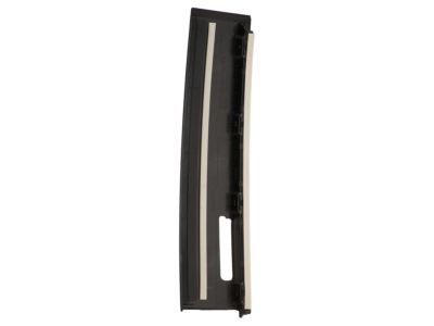 Ford FL3Z-1520555-SA Moulding - Door Outside